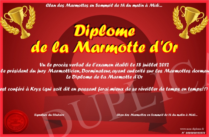 diplome universitaire sommeil
